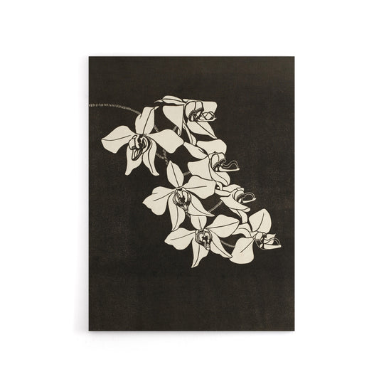 Black and White Orchid Flower De Mesquita Canvas Wall Art Print