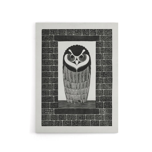 Ringuil Owl Bird on a Window De Mesquita Canvas Wall Art Print