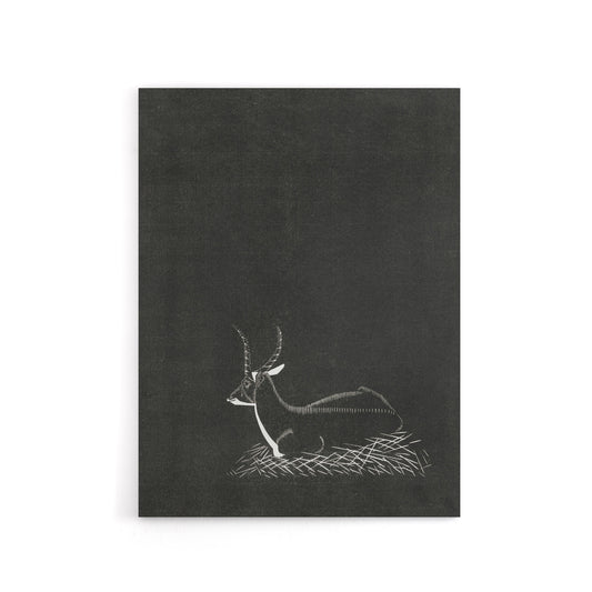 Stylised Waterbuck Painting De Mesquita Canvas Wall Art Print