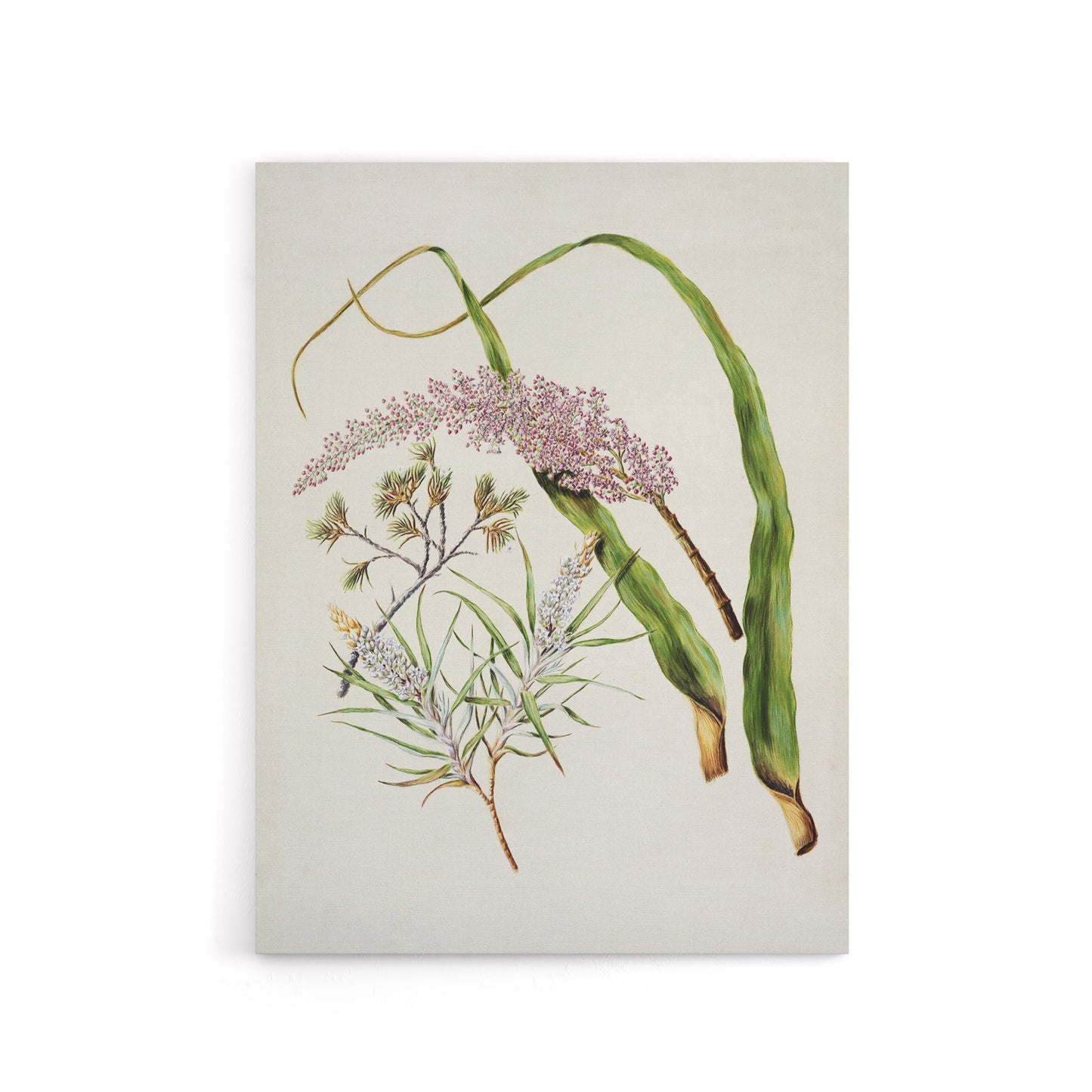 Totorowhiti Turpentine Scrub Flowers Featon Canvas Wall Art Print