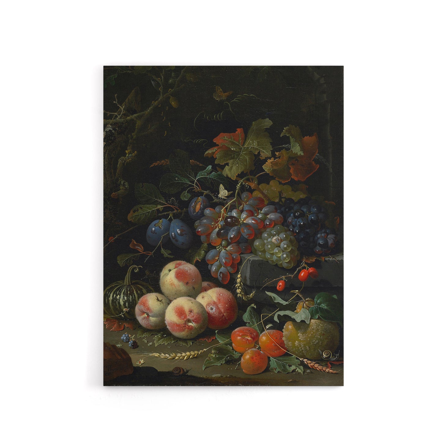 Still Life With Fruit Foliage and Insects Mignon Canvas Wall Art