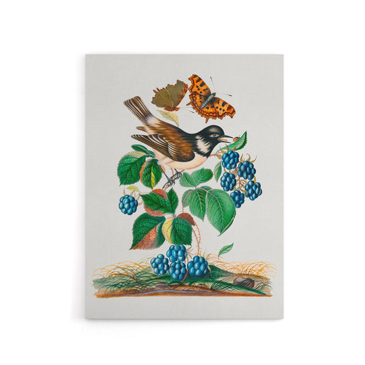 Bramble Rubus Starling and Butterflies Bolton Canvas Wall Art