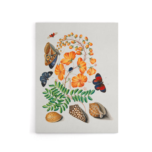 Flowers Butterflies and Seashells Bolton Canvas Wall Art