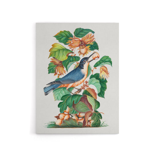 Nuthatch Bird Hazel Oak and Bramble Bolton Canvas Wall Art