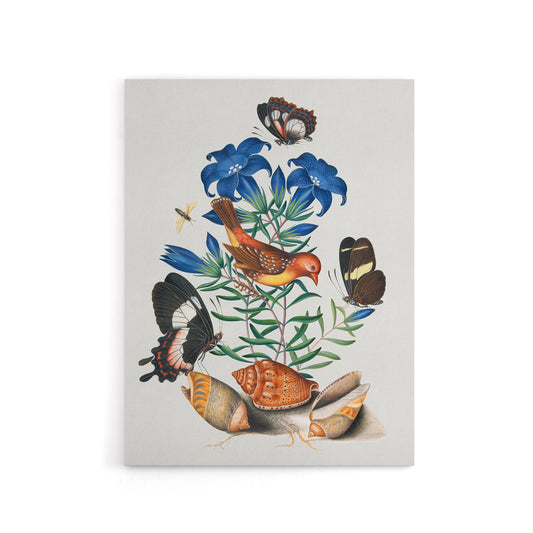 Red Avadavat Swallowtail and Shells Bolton Canvas Wall Art