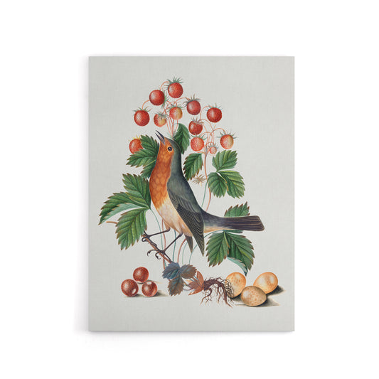 Robin Bird and Wild Strawberry Plant Bolton Canvas Wall Art