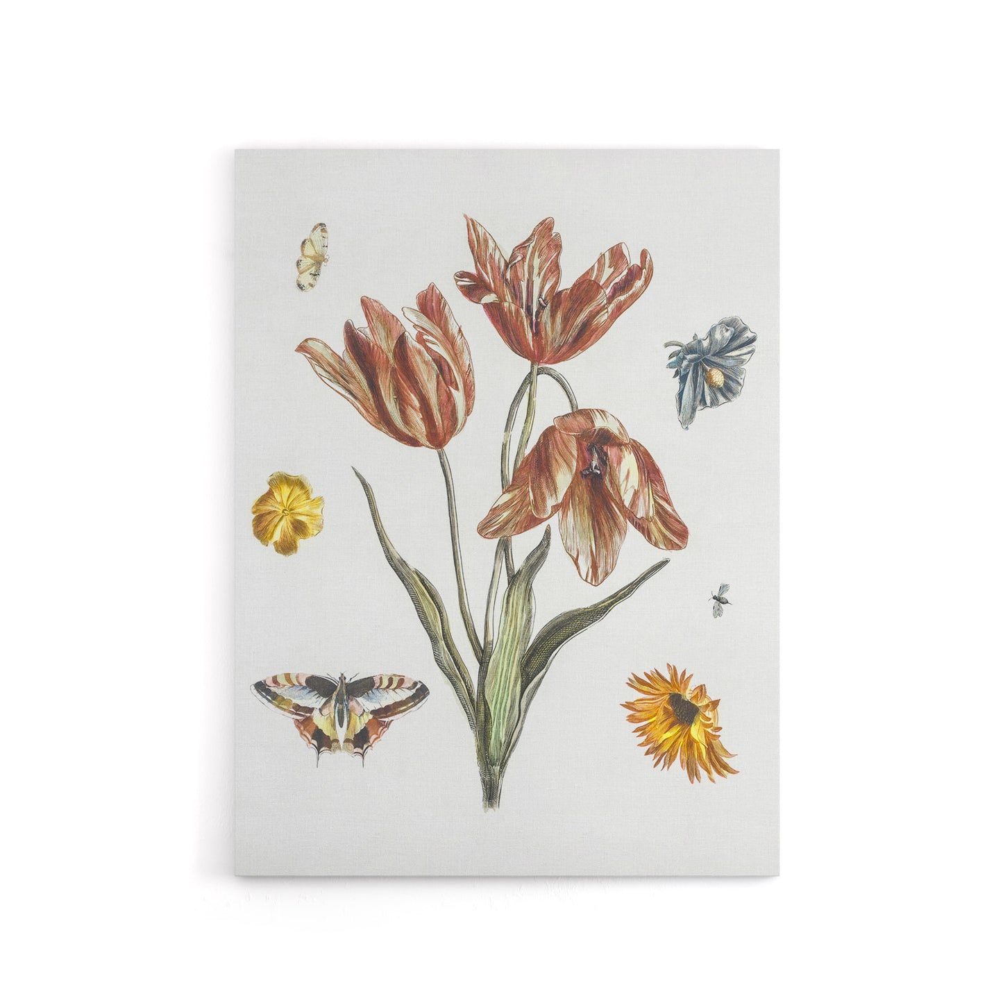 Flowers Butterflies And A Fly Johan Teyler Canvas Wall Art