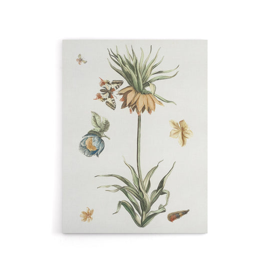 Keizerskroon Tulip and Butterfly Teyler Canvas Wall Art