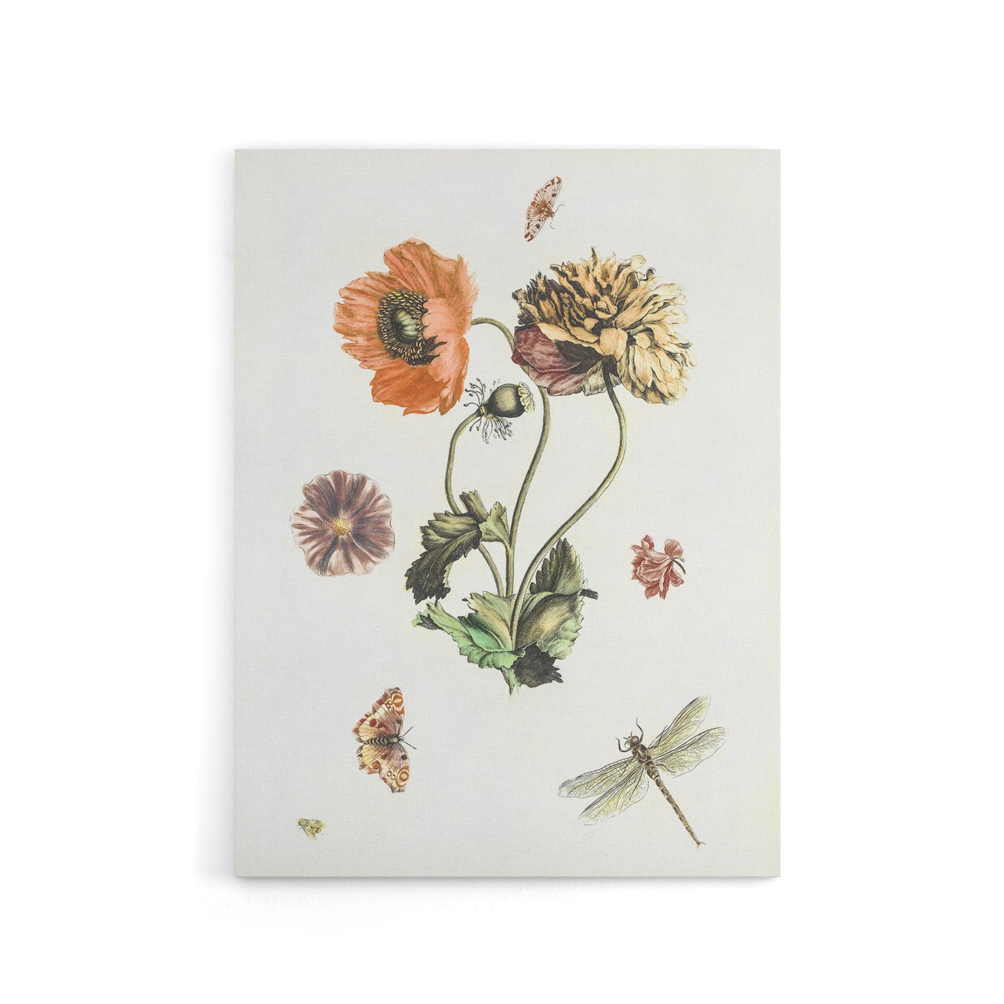 Poppies Butterflies and Dragonfly Teyler Canvas Wall Art