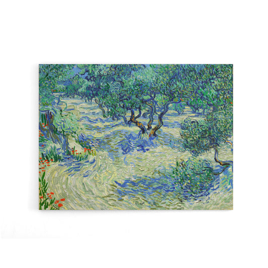 Vincent Van Gogh Olive Orchard Canvas Wall Art Print