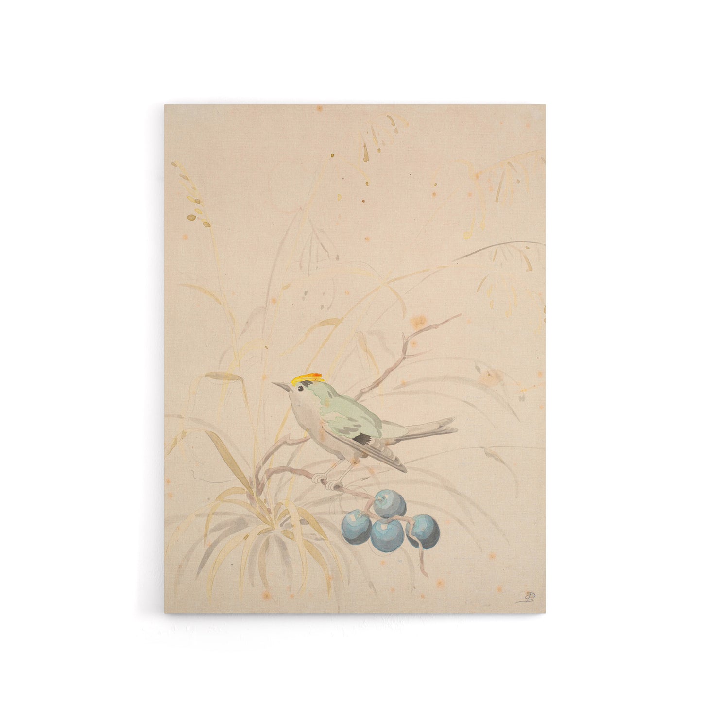 PC Skovgaard Kingbird on a Meadow Branch Canvas Wall Art Print