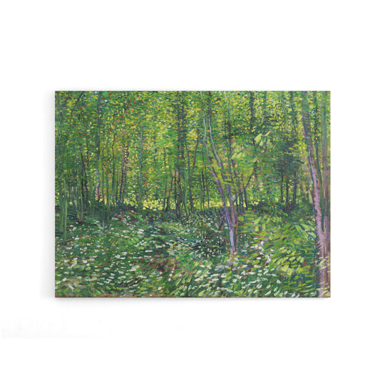 Vincent Van Gogh Trees And Undergrowth Canvas Wall Art Print