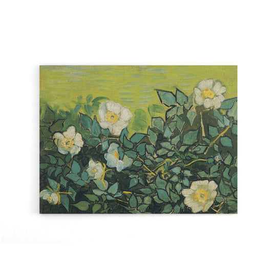 Vincent Van Gogh Wild Roses Floral Canvas Wall Art Print