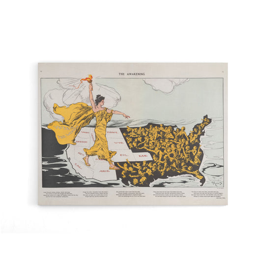Mayer Map Liberty Awakening Votes Women Canvas Wall Art Print