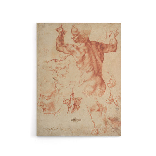 Michelangelo Studies For The Libyan Canvas Wall Art Print