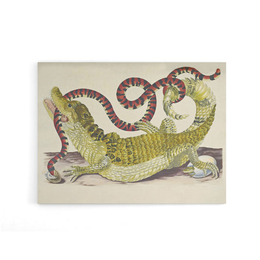 Merian Alligator Crocodile Snake Canvas Wall Art Print