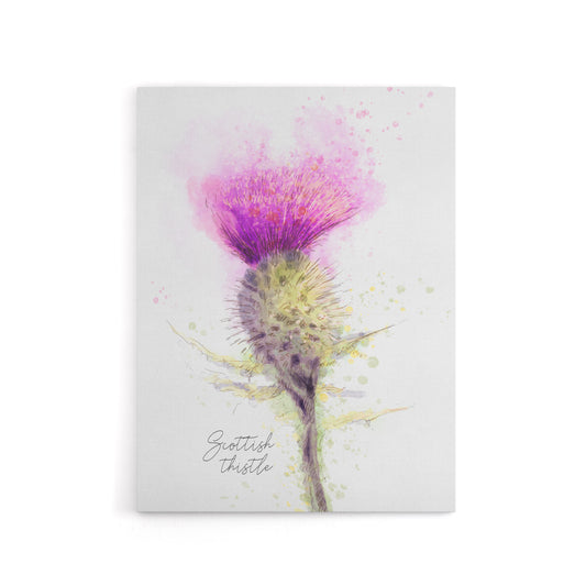 Scottish Thistle Flower Head Canvas Wall Art Print