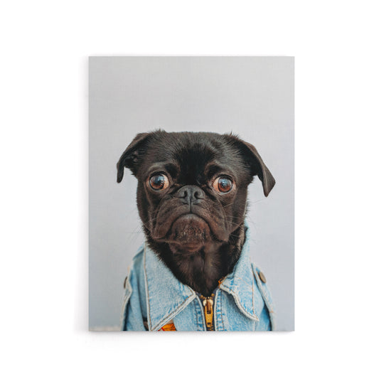 Deluvio Pug Puppy Dog In Jacket Canvas Wall Art Print